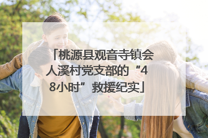 桃源县观音寺镇会人溪村党支部的“48小时”救援纪实
