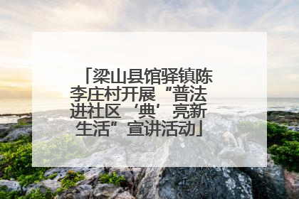 梁山县馆驿镇陈李庄村开展“普法进社区‘典’亮新生活”宣讲活动