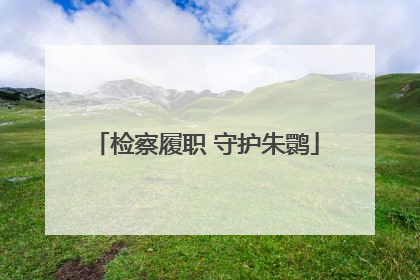 检察履职 守护朱鹮
