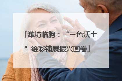 潍坊临朐：“三色沃土”绘彩铺展振兴画卷