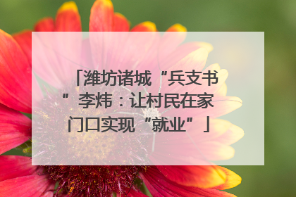 潍坊诸城“兵支书”李炜：让村民在家门口实现“就业”