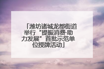 潍坊诸城龙都街道举行“提振消费·助力发展”首批示范单位授牌活动