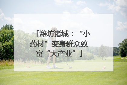 潍坊诸城：“小药材”变身群众致富“大产业”