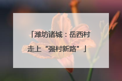 潍坊诸城：岳西村走上“强村新路”