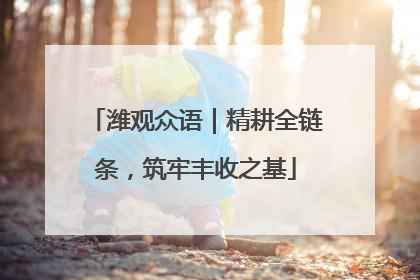 潍观众语｜精耕全链条，筑牢丰收之基