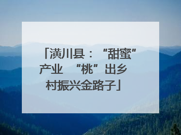 潢川县：“甜蜜”产业  “桃”出乡村振兴金路子