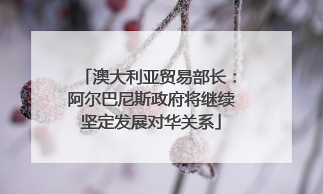澳大利亚贸易部长：阿尔巴尼斯政府将继续坚定发展对华关系