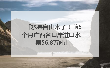 水果自由来了！前5个月广西各口岸进口水果56.8万吨