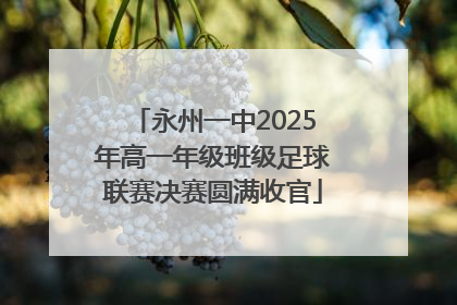 永州一中2025年高一年级班级足球联赛决赛圆满收官