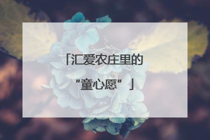 汇爱农庄里的“童心愿”