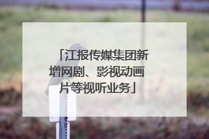 江报传媒集团新增网剧、影视动画片等视听业务