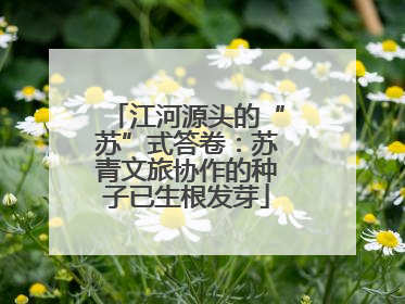江河源头的“苏”式答卷：苏青文旅协作的种子已生根发芽