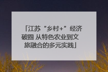 江苏“乡村+”经济破圈 从特色农业到文旅融合的多元实践