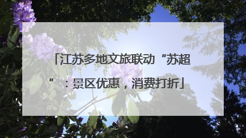 江苏多地文旅联动“苏超”：景区优惠，消费打折