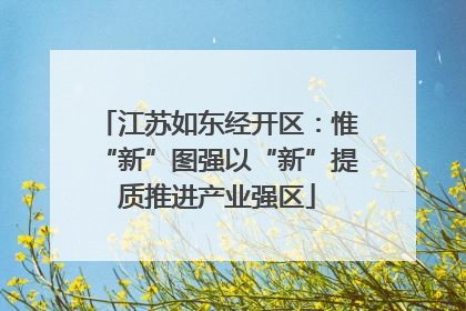江苏如东经开区：惟“新”图强以“新”提质推进产业强区