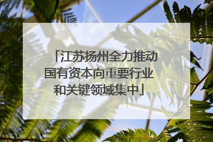 江苏扬州全力推动国有资本向重要行业和关键领域集中
