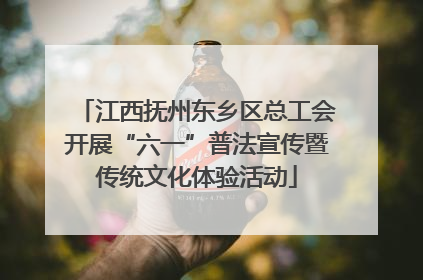 江西抚州东乡区总工会开展“六一”普法宣传暨传统文化体验活动