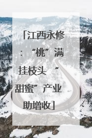 江西永修：“桃”满挂枝头 “甜蜜”产业助增收