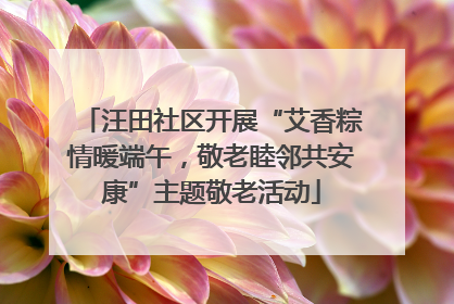 汪田社区开展“艾香粽情暖端午，敬老睦邻共安康”主题敬老活动