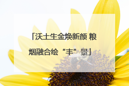 沃土生金焕新颜 粮烟融合绘“丰”景