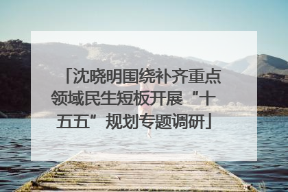 沈晓明围绕补齐重点领域民生短板开展“十五五”规划专题调研