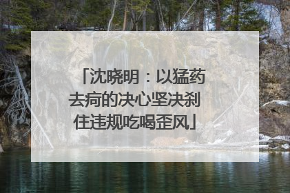 沈晓明：以猛药去疴的决心坚决刹住违规吃喝歪风