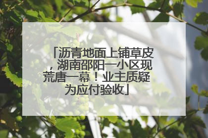 沥青地面上铺草皮，湖南邵阳一小区现荒唐一幕！业主质疑为应付验收
