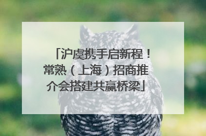 沪虞携手启新程！常熟（上海）招商推介会搭建共赢桥梁