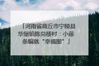河南省商丘市宁陵县华堡镇陈兑楼村：小藤条编就“幸福图”