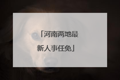 河南两地最新人事任免