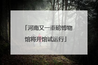 河南又一重磅博物馆将开馆试运行
