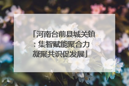 河南台前县城关镇：集智赋能聚合力 凝聚共识促发展
