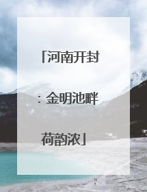 河南开封：金明池畔荷韵浓
