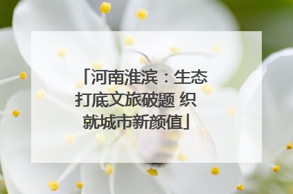 河南淮滨：生态打底文旅破题 织就城市新颜值