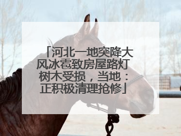 河北一地突降大风冰雹致房屋路灯树木受损，当地：正积极清理抢修
