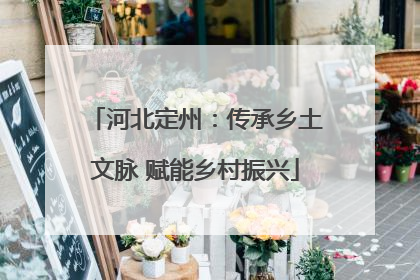 河北定州：传承乡土文脉 赋能乡村振兴