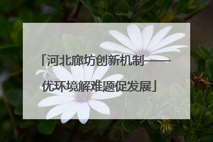 河北廊坊创新机制——优环境解难题促发展