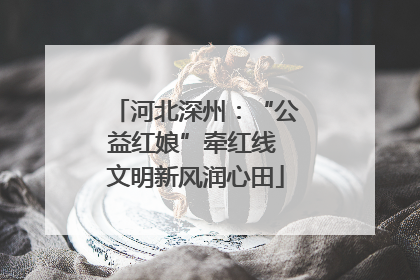 河北深州：“公益红娘”牵红线 文明新风润心田