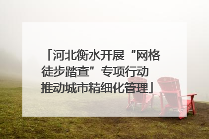 河北衡水开展“网格徒步踏查”专项行动 推动城市精细化管理