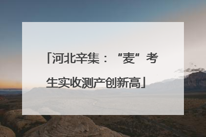 河北辛集：“麦”考生实收测产创新高