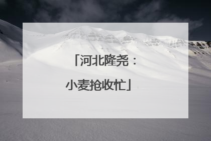 河北隆尧：小麦抢收忙