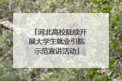 河北高校陆续开展大学生就业引航示范宣讲活动