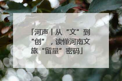 河声丨从“文”到“创”，读懂河南文旅“留量”密码