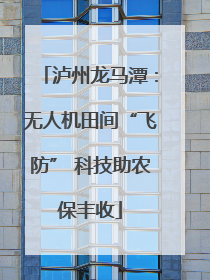 泸州龙马潭：无人机田间“飞防” 科技助农保丰收