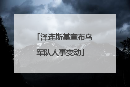 泽连斯基宣布乌军队人事变动
