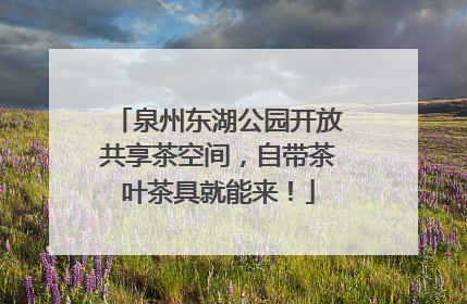 泉州东湖公园开放共享茶空间，自带茶叶茶具就能来！