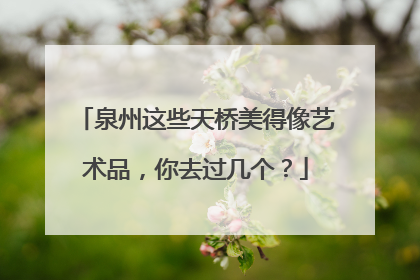 泉州这些天桥美得像艺术品，你去过几个？