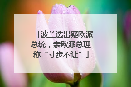 波兰选出疑欧派总统，亲欧派总理称“寸步不让”
