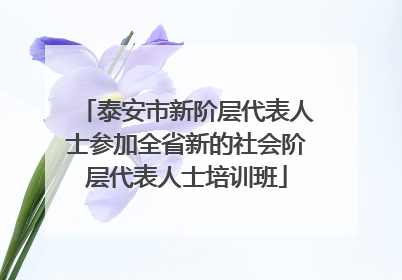 泰安市新阶层代表人士参加全省新的社会阶层代表人士培训班