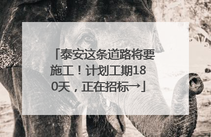 泰安这条道路将要施工！计划工期180天，正在招标→